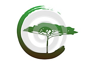 African tropical tree logo icon, acacia tree Savannah silhouette , green nature safari ecology concept, biological concept nature