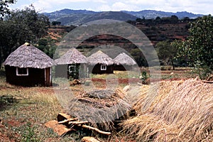 African village