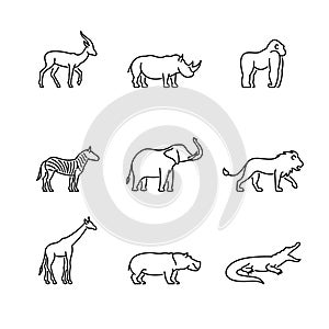 African wild animals icon vector set.