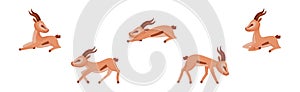 African Wild Gazelle with Long Horns and Hoofs Vector Set