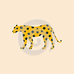 African wild leopard hand drawn vector illustration. Cute isolated safari animal character in flat style for kids.