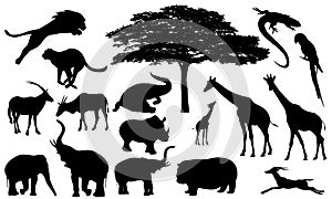 African wildlife vector