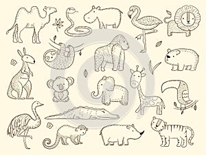 African wildlife animals. Jungle safari characters tiger elephant crocodile monkey vector set