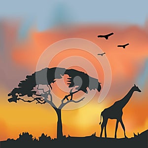 African Wildlife Background