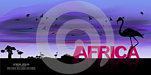 African Wildlife Background. Nature Background. African savanna landscape. safari card. vector.