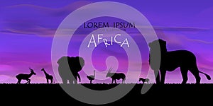 African Wildlife Background. vector of africa wildlife card.