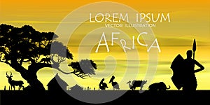 African Wildlife Background. vector of africa wildlife card.