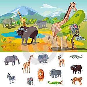 African Wildlife Concept
