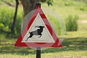 African Wildlife - Road sign - The Kruger National Park