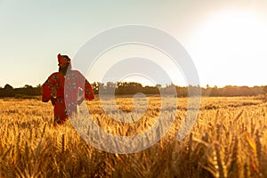 African woman in traditional clothes standing in a field of crops at sunset or sunrise