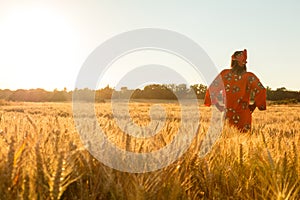 African woman traditional clothes stands in field of crops at sunset