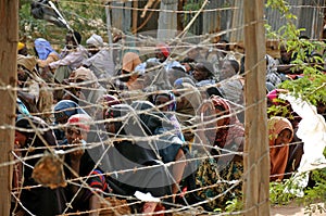 African women desperately waiting for help