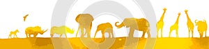 African yellow landscape with animals. Vector illustration