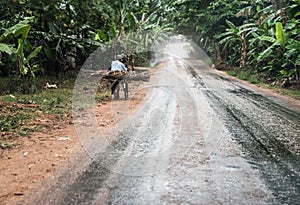 Africans with bicycles on Zanzibar road in forest