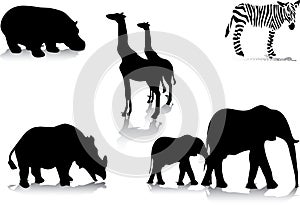 Africas animals