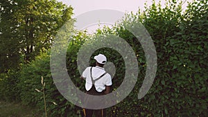 Afroamerican gargener trimming hedge.