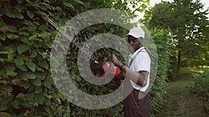 Afroamerican gargener trimming hedge.