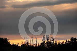 The afterglow of the sunset in the suburbs