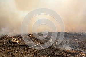 Aftermath from a controlled burn