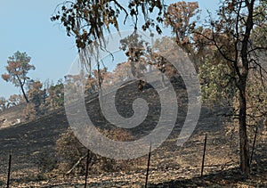 Aftermath of the wildfire near Lake Berryessa