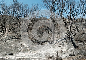 Aftermath of the wildfire near Lake Berryessa