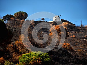 Aftermath of Wildfires in Portugal.