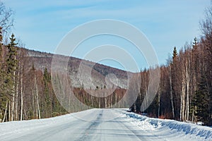 Afternoon landscape in Denali National Park and Preserve