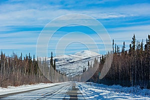 Afternoon landscape in Denali National Park and Preserve