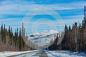 Afternoon landscape in Denali National Park and Preserve