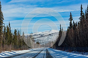 Afternoon landscape in Denali National Park and Preserve