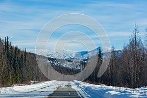 Afternoon landscape in Denali National Park and Preserve