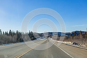 Afternoon landscape in Denali National Park and Preserve