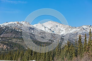 Afternoon landscape in Denali National Park and Preserve