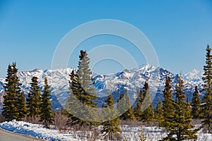 Afternoon landscape in Denali National Park and Preserve