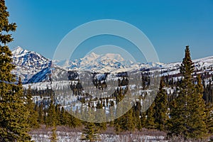 Afternoon landscape in Denali National Park and Preserve