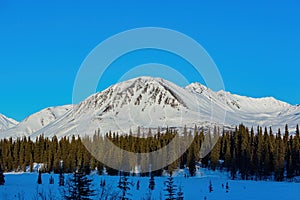 Afternoon landscape in Denali National Park and Preserve