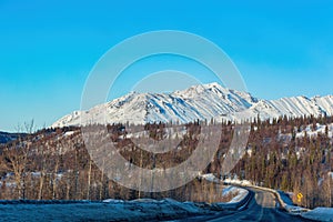 Afternoon landscape in Denali National Park and Preserve