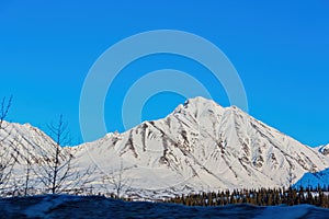 Afternoon landscape in Denali National Park and Preserve