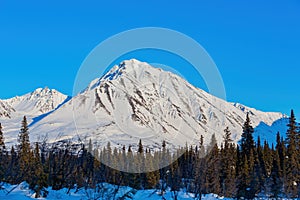 Afternoon landscape in Denali National Park and Preserve