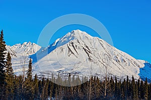 Afternoon landscape in Denali National Park and Preserve