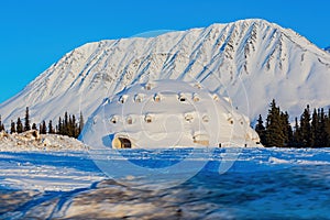 Afternoon landscape in Denali National Park and Preserve