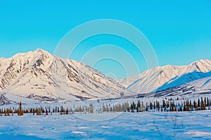 Afternoon landscape in Denali National Park and Preserve