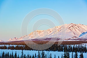 Afternoon landscape in Denali National Park and Preserve