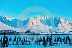 Afternoon landscape in Denali National Park and Preserve