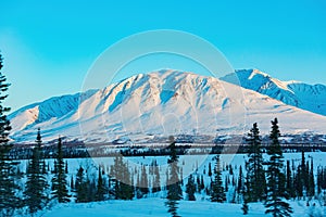 Afternoon landscape in Denali National Park and Preserve