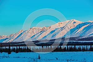 Afternoon landscape in Denali National Park and Preserve