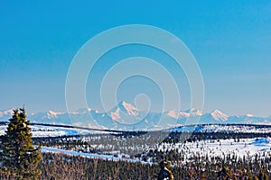 Afternoon landscape in Denali National Park and Preserve with Mount McKinley