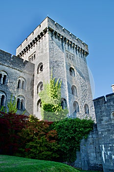 Afternoon light on the castle tower