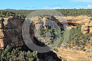 Cliff Palace across Canyon in Mesa Verde National Park, Colorado, USA