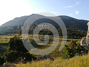 Afternoon peaceful nature in mountains